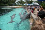 Sea World