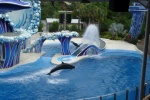 Sea World