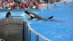 Sea World