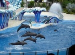 Sea World