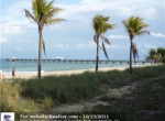 4444 El Mar Drive 3401