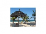 16699 Collins Av Unit: 1104